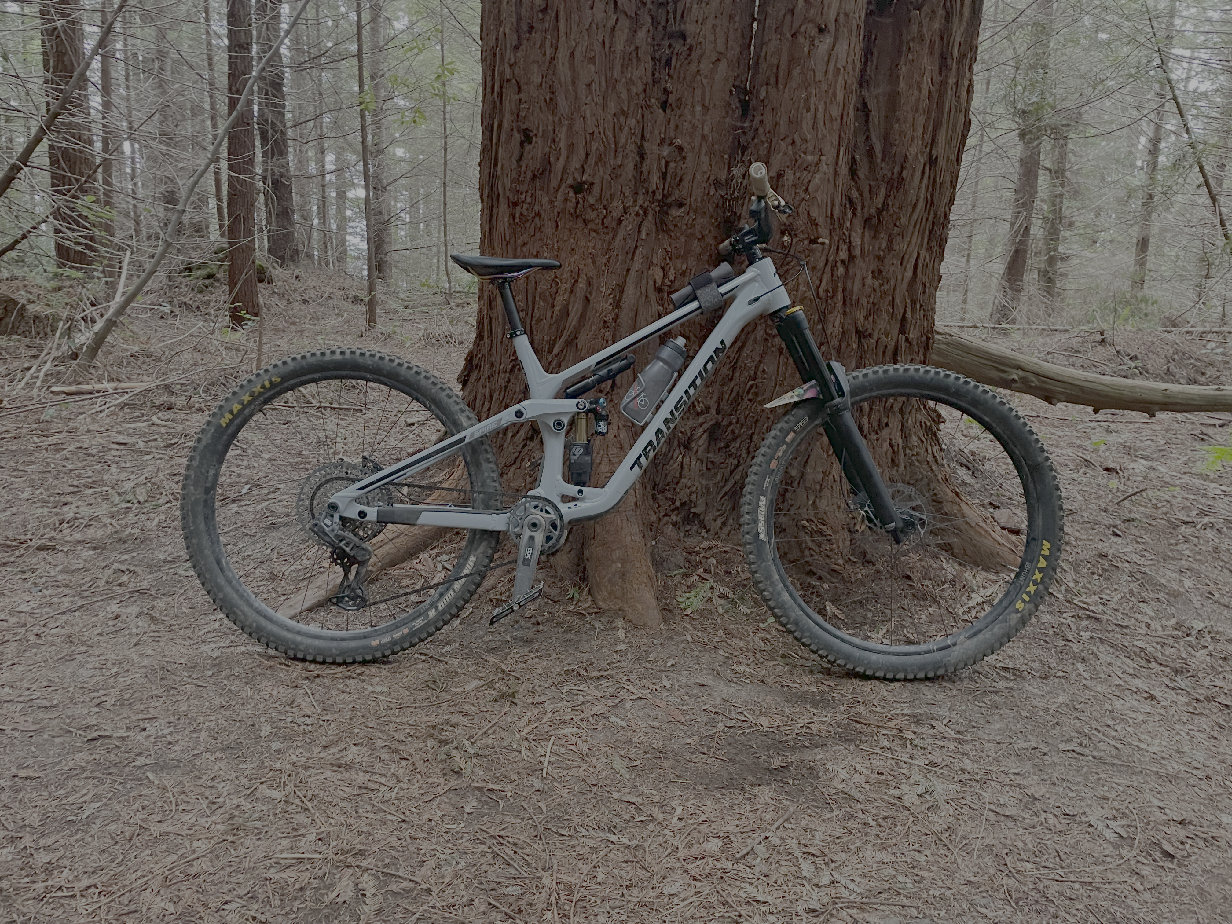 My bike in the woods